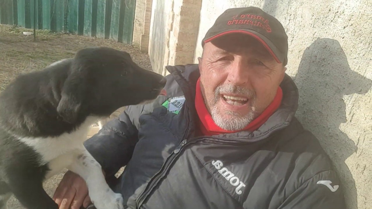 Perché il Tuo Cane NON Fa La Guardia?
