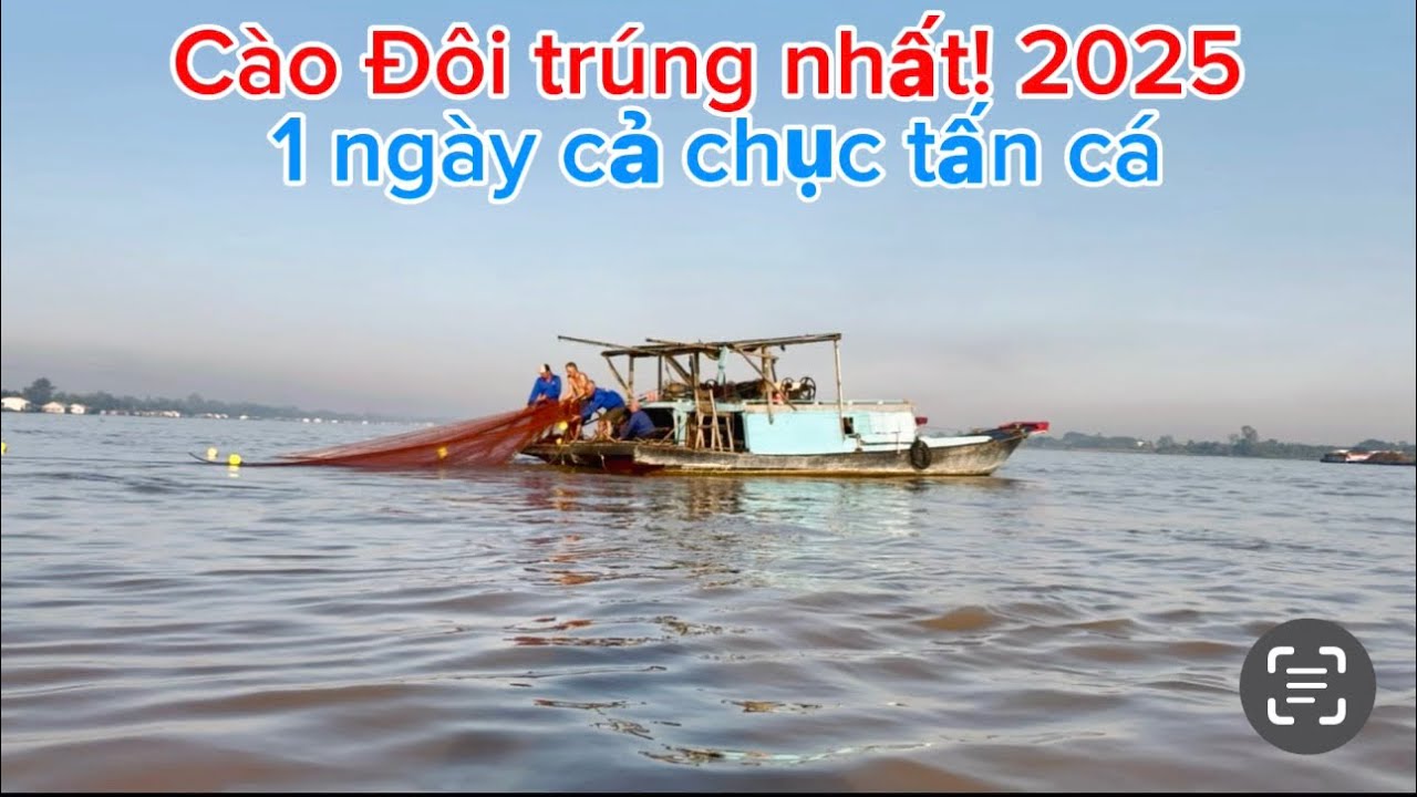 Nghề cào Đôi trúng nhất ! Năm 2025 - 1 - ngày chục tấn cá-
