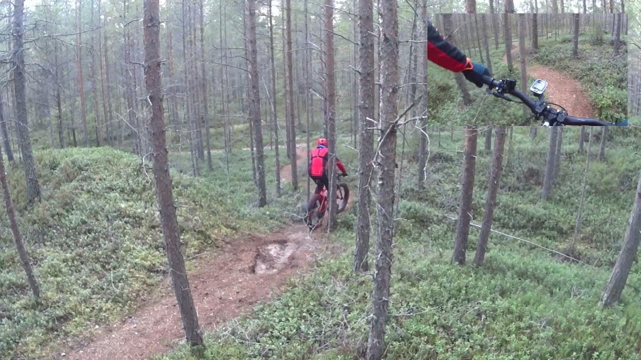 Silverback Scoop Fatty testilenkki