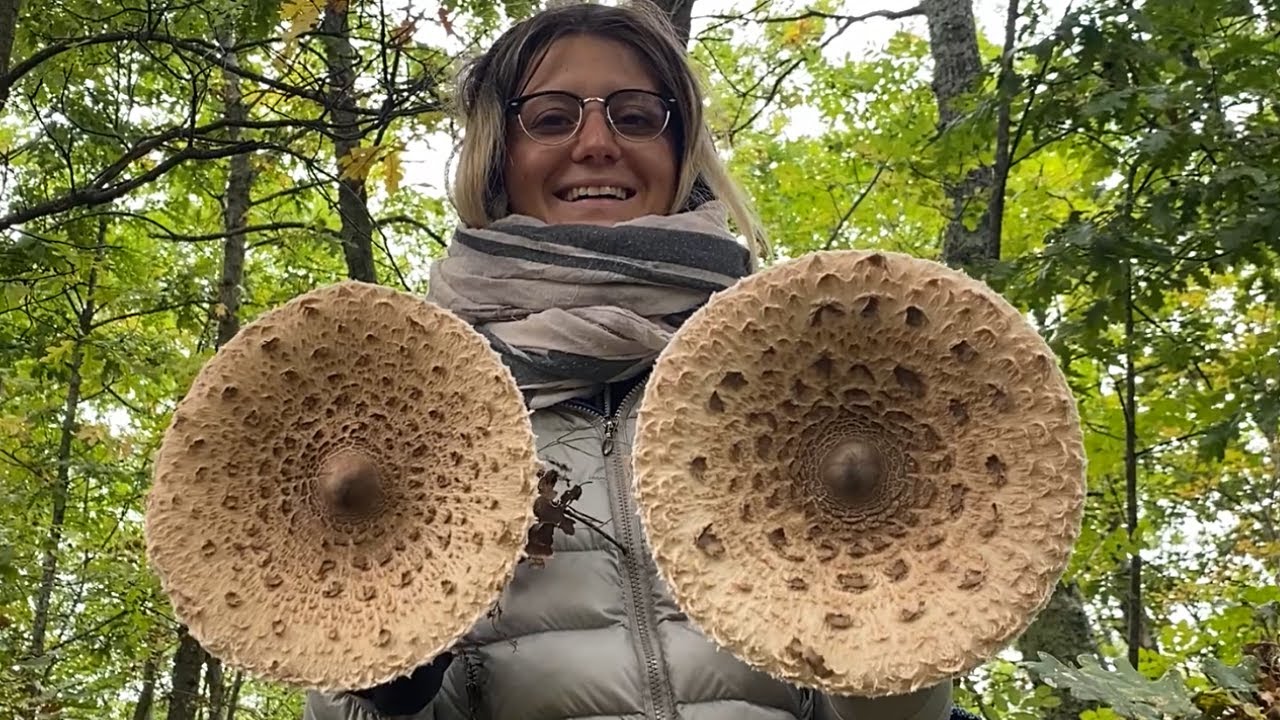 MAZZE DI TAMBURO DA URLO!