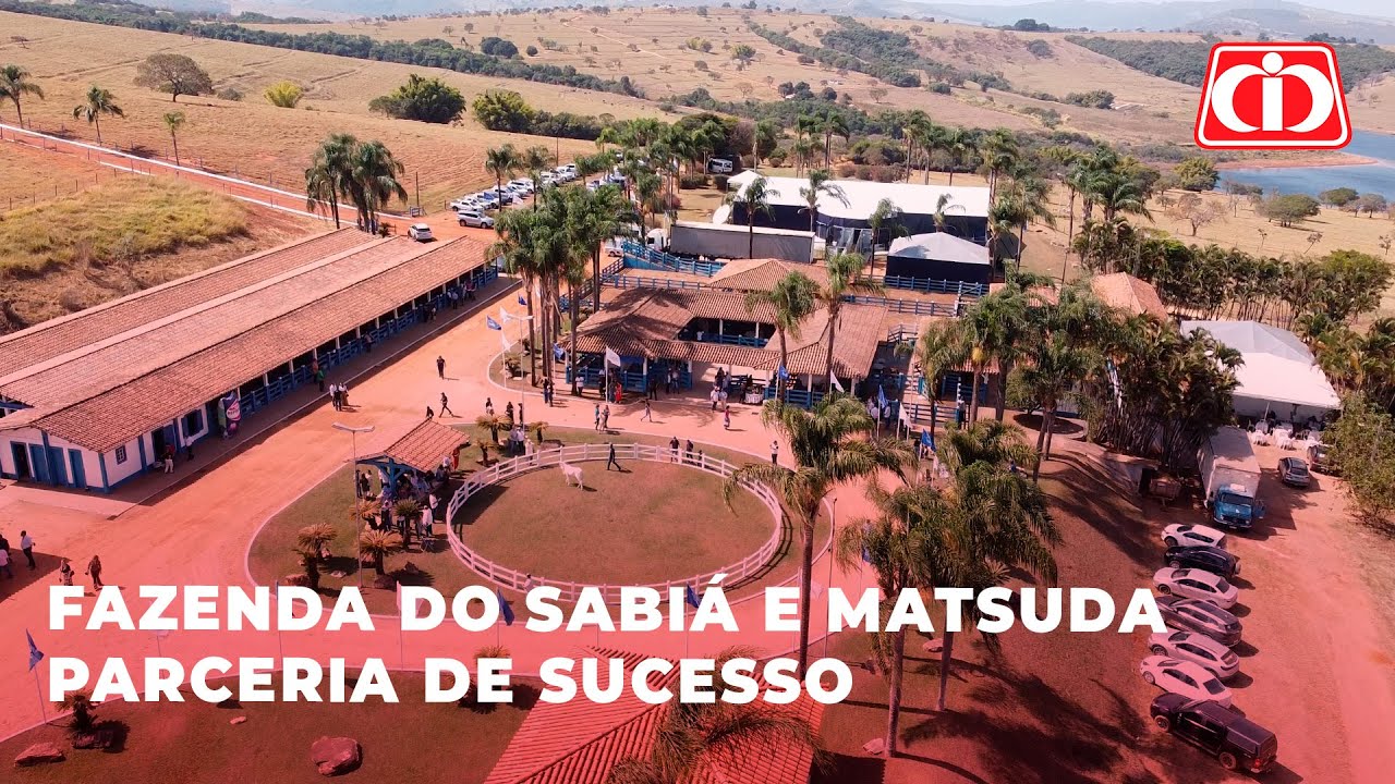 Leilão Fazenda do Sabiá 2022