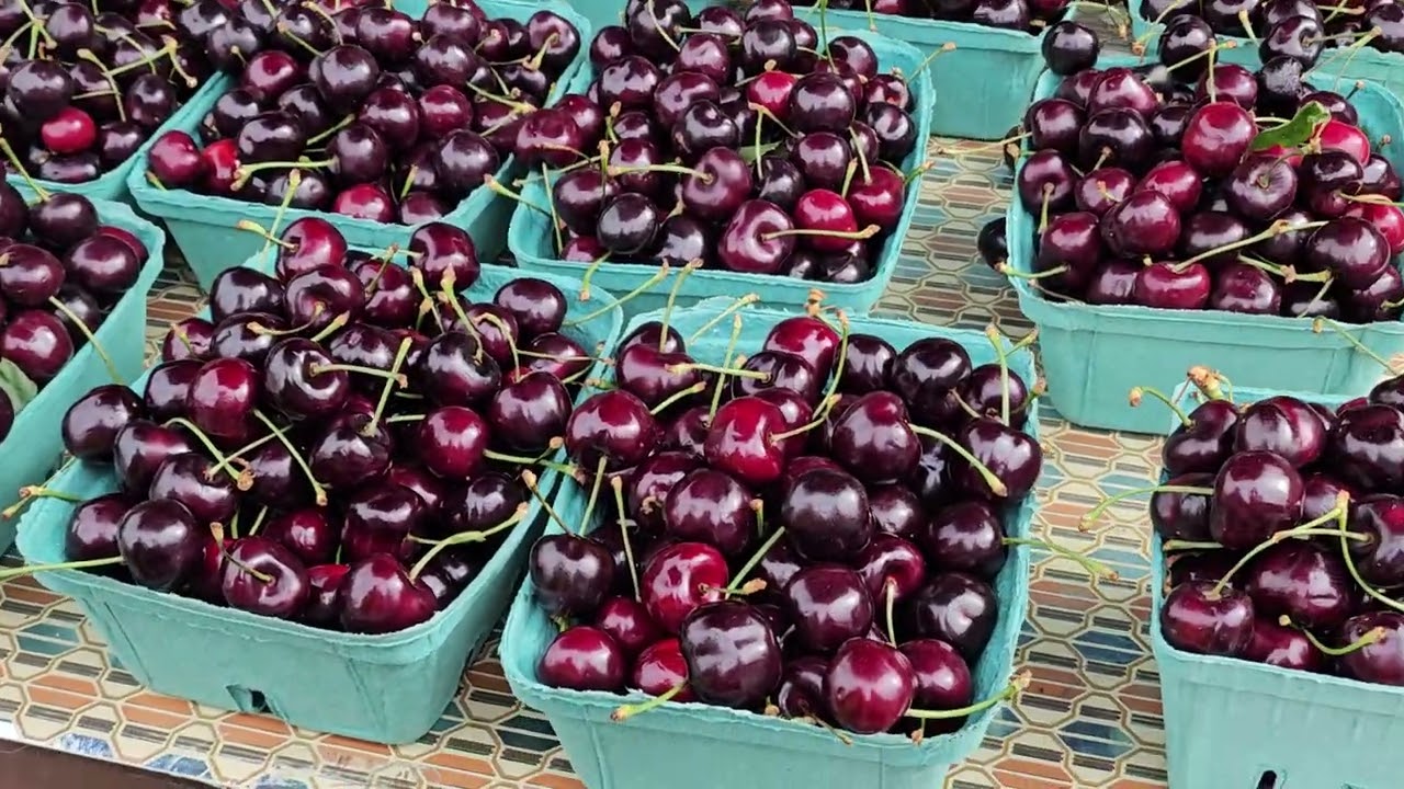 ya es temporada de la fruta, en keremeos  bc 🍁