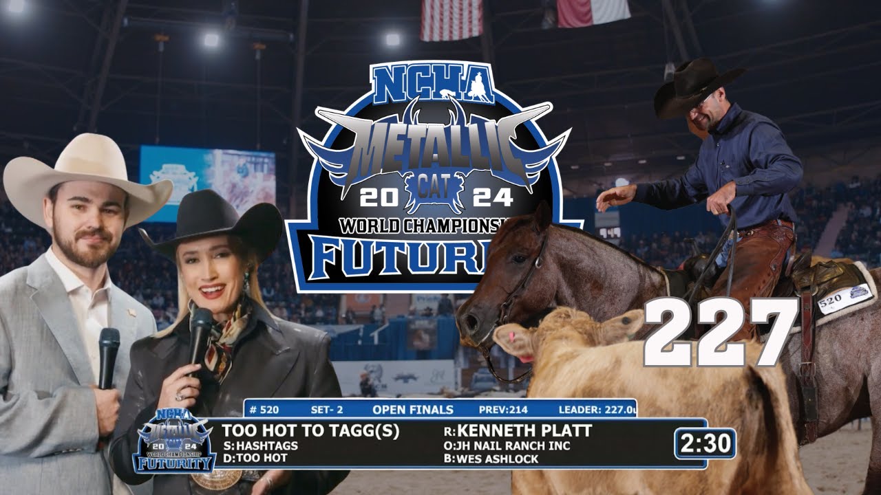2024 NCHA Metallic Cat World Championship Futurity Open Finals | Full Broadcast