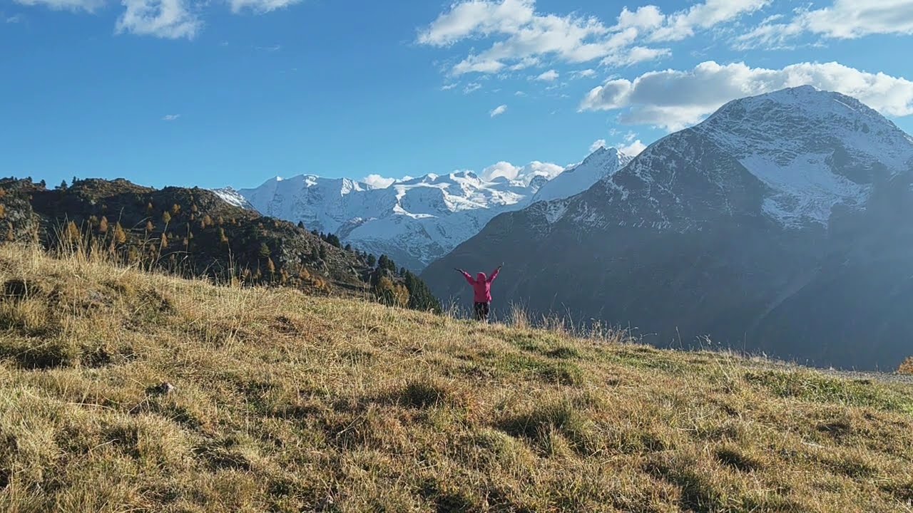 Alp  Languard