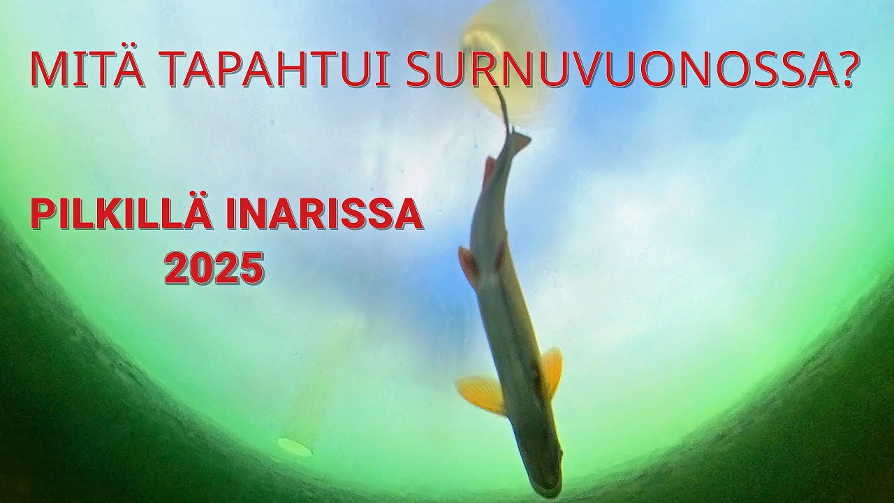 Mitä tapahtui Surnuvuonossa? Pilkkiretki Inarijärvellä 2025.