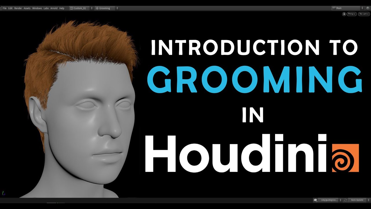 Introduction to grooming in houdini