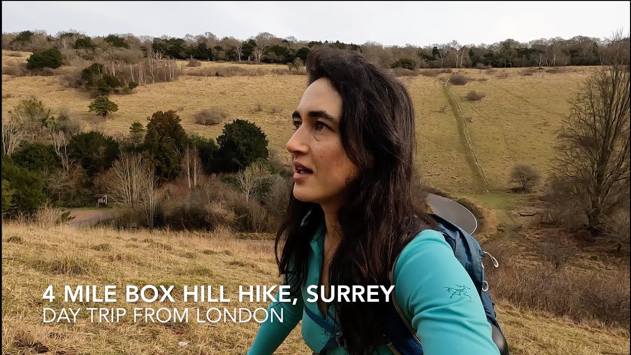 Box Hill Hike: Day trip from London