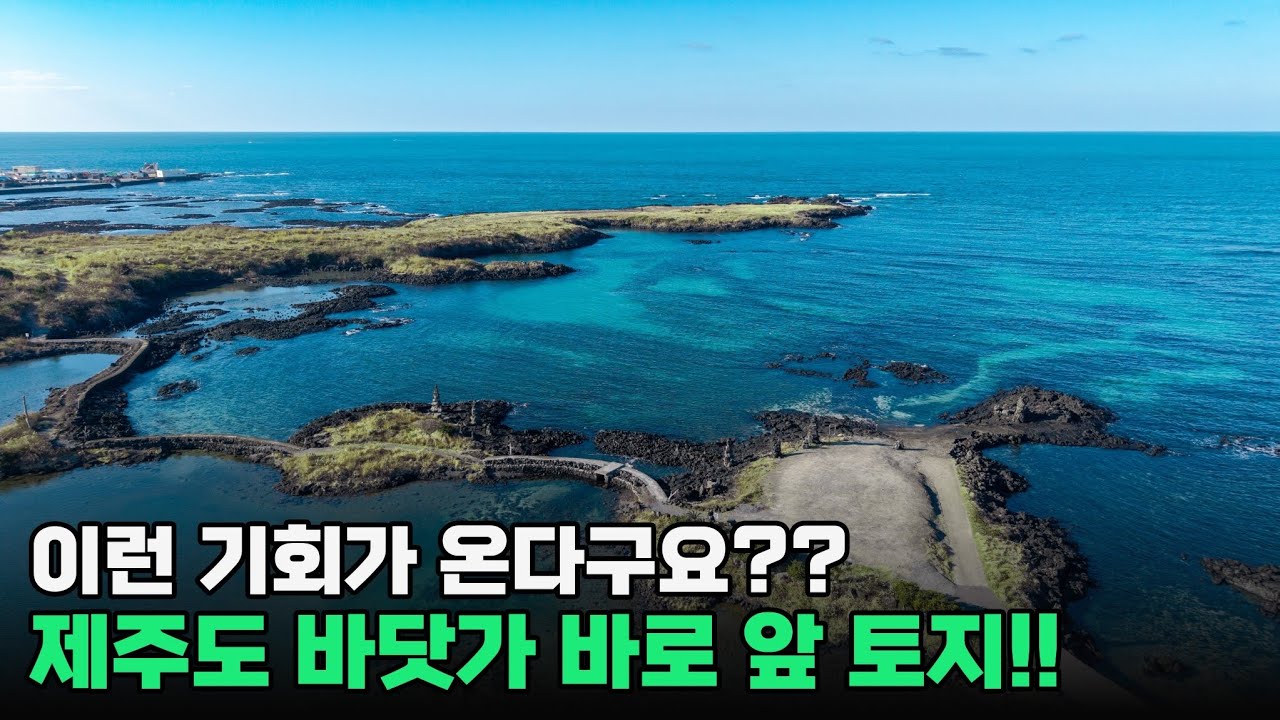 희소성 매우 높은 땅! 제주도 조천리 390평 토지