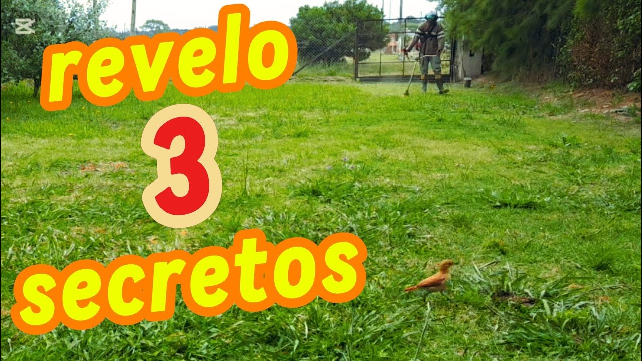 En este video te muestro paso a paso como cortar pasto con desmalezadora o desbrozadora bien prolijo