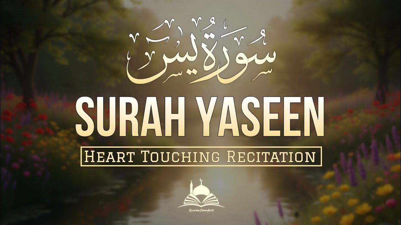  Surah Yasin for Inner Peace | A Recitation That Touches the Soul | Quran Comfort 