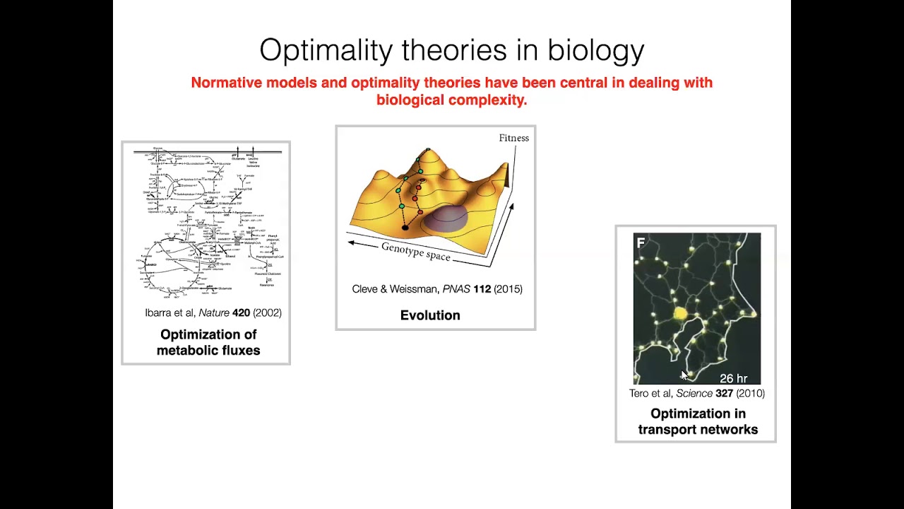 "Spanning the arc between optimality theories and data" by Gasper Tkacik