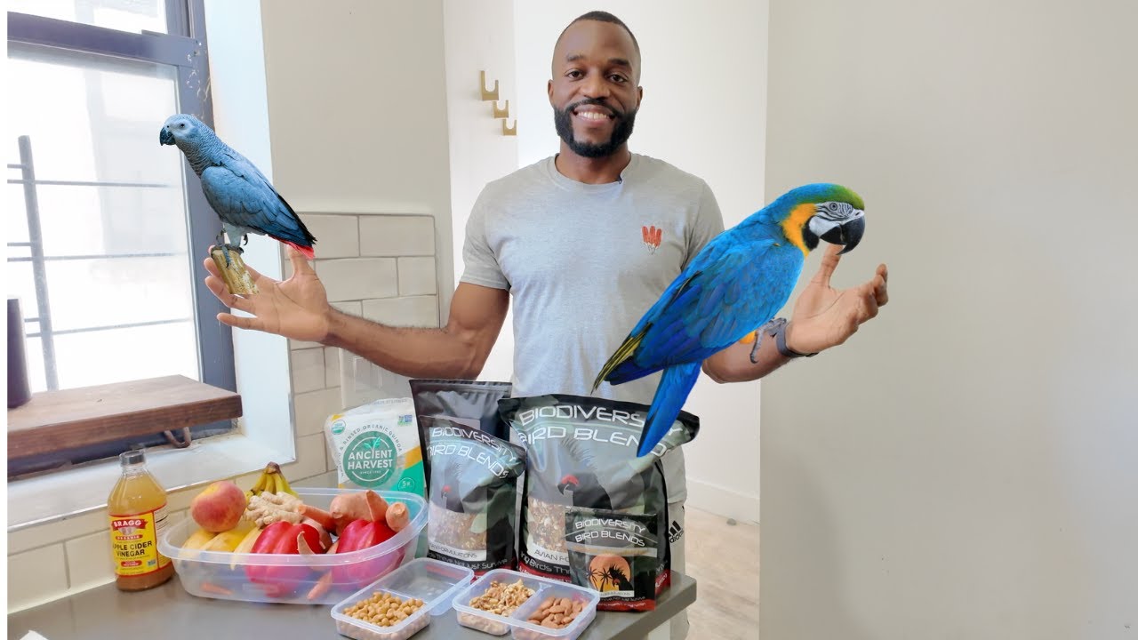 How I Feed My African Greys! | A Guide to a Diverse and Nutritious Diet!