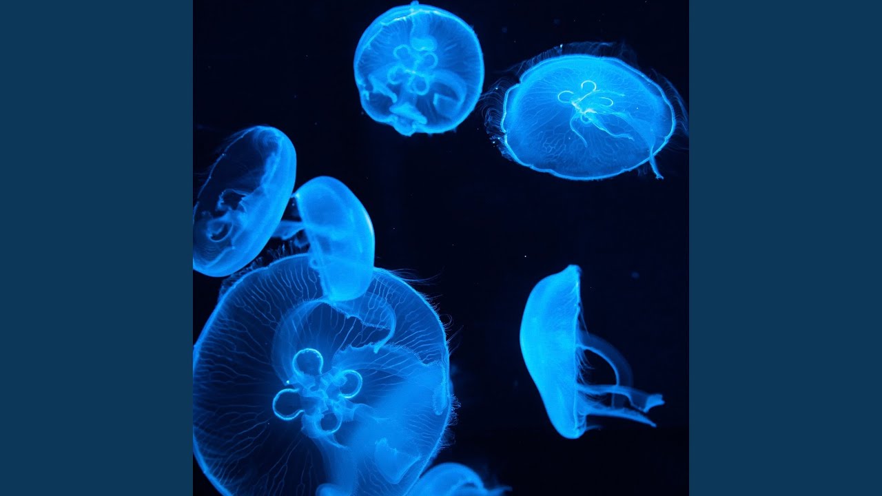 528hz Sacred Connection