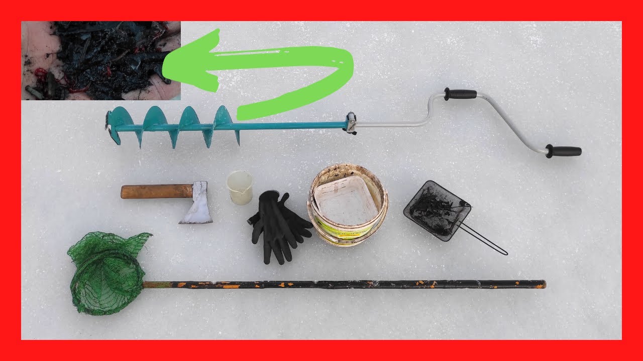 Jak Pozyskać Ochotki | ZIMA