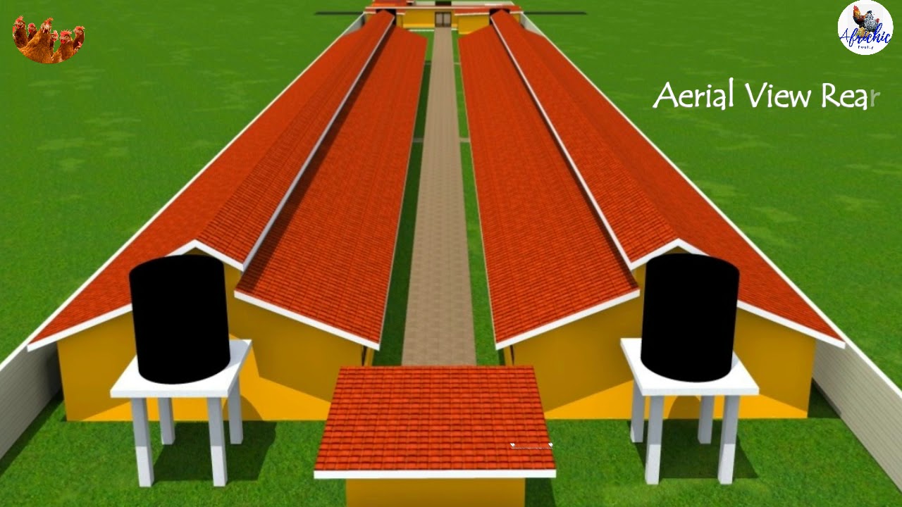 Modern Automatic Chicken Farm Design I Layers Chicken Farming I Poultry House Design Part 2
