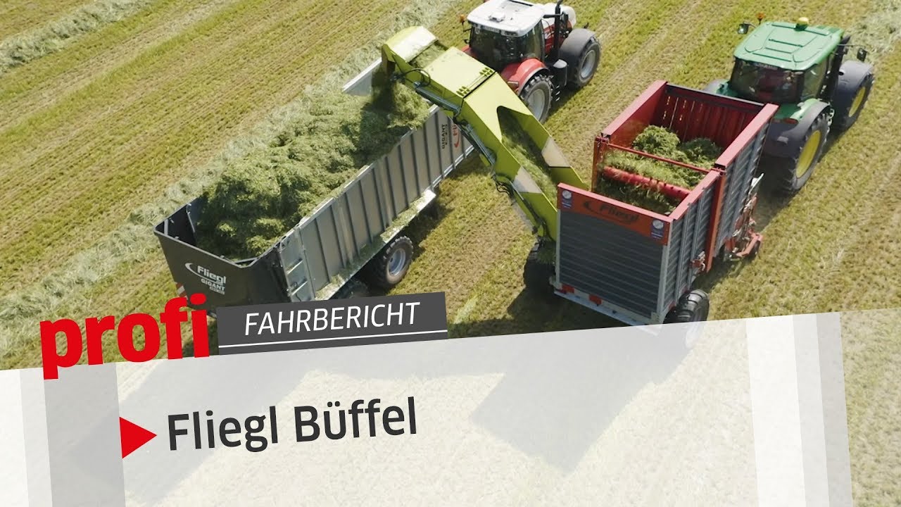 Nimmersatter Büffel: Fliegl Überlade-Ladewagen | profi 