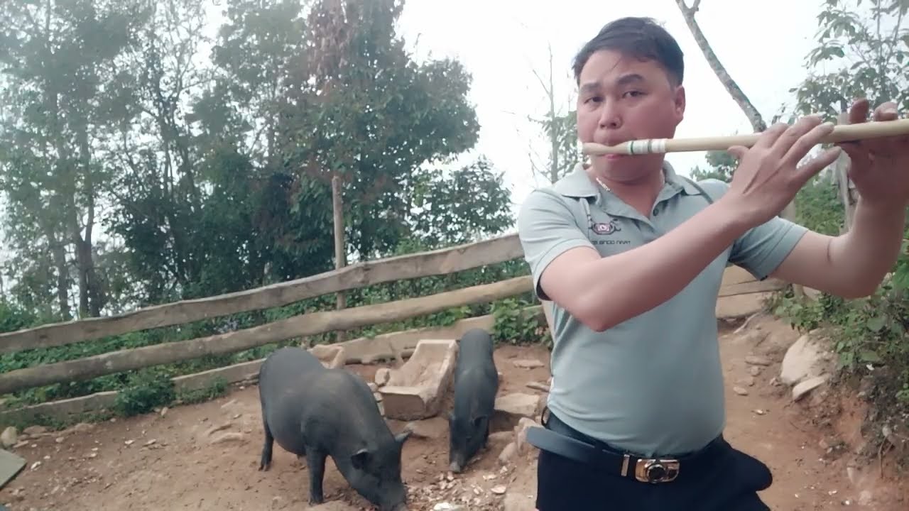 Lub Suab Raj Nplaim  Kho Siab Heev Vietnam 21/ 1/2026
