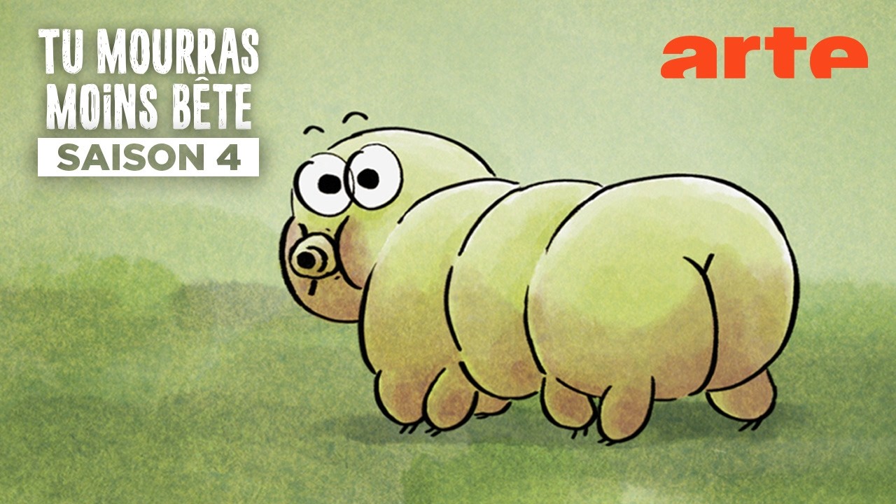 Heureux qui comme le tardigrade a fait un beau voyage | Tu mourras moins bête | ARTE