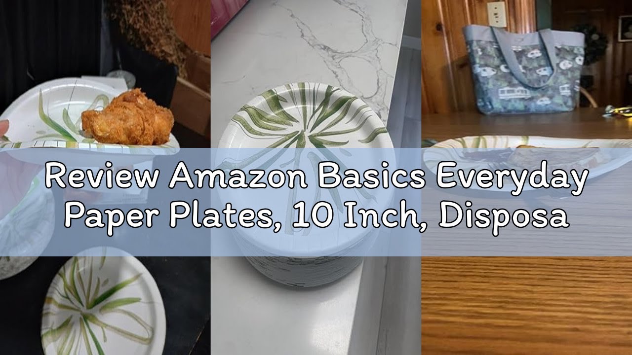 Review Amazon Basics Everyday Paper Plates, 10 Inch, Disposable, 150 Count