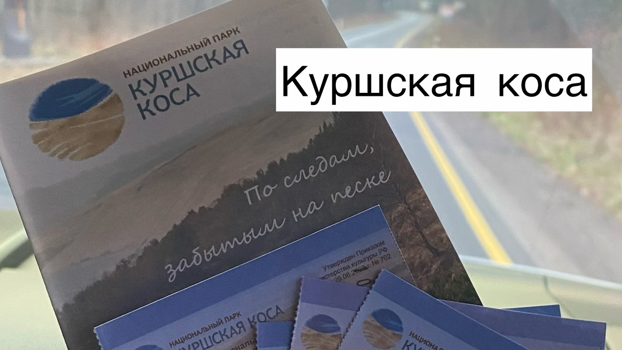 Куршская коса: Дюна Эфа — самое впечатляющее место Калининградской области!