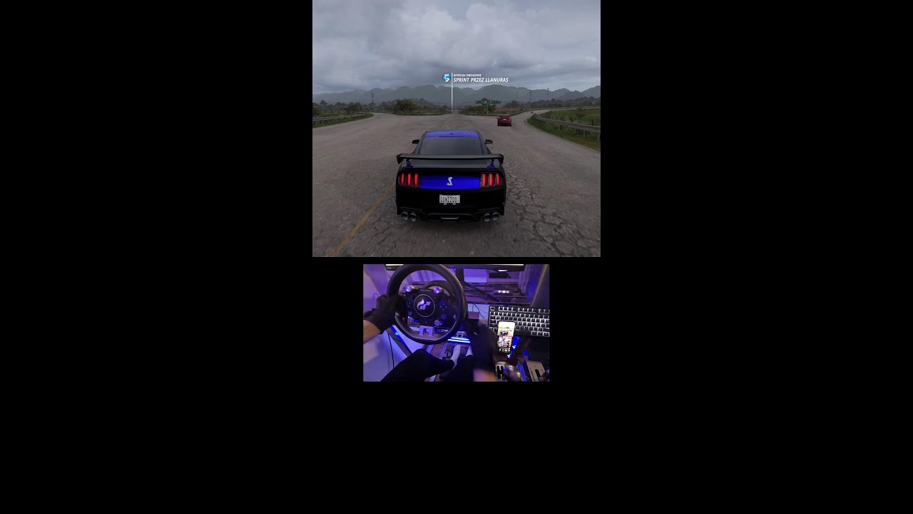 Forza Horizon 5 Live steering wheel