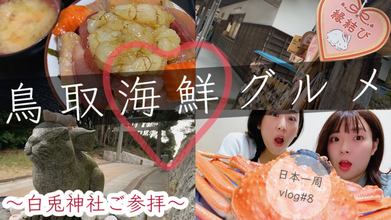 【鳥取県②】姉妹で白兎神社へお参り&松葉ガニ丸ごと食べてみた【日本一周# 8】鳥取グルメ｜因幡の白兎｜お土産NO.1紹介｜Tottori