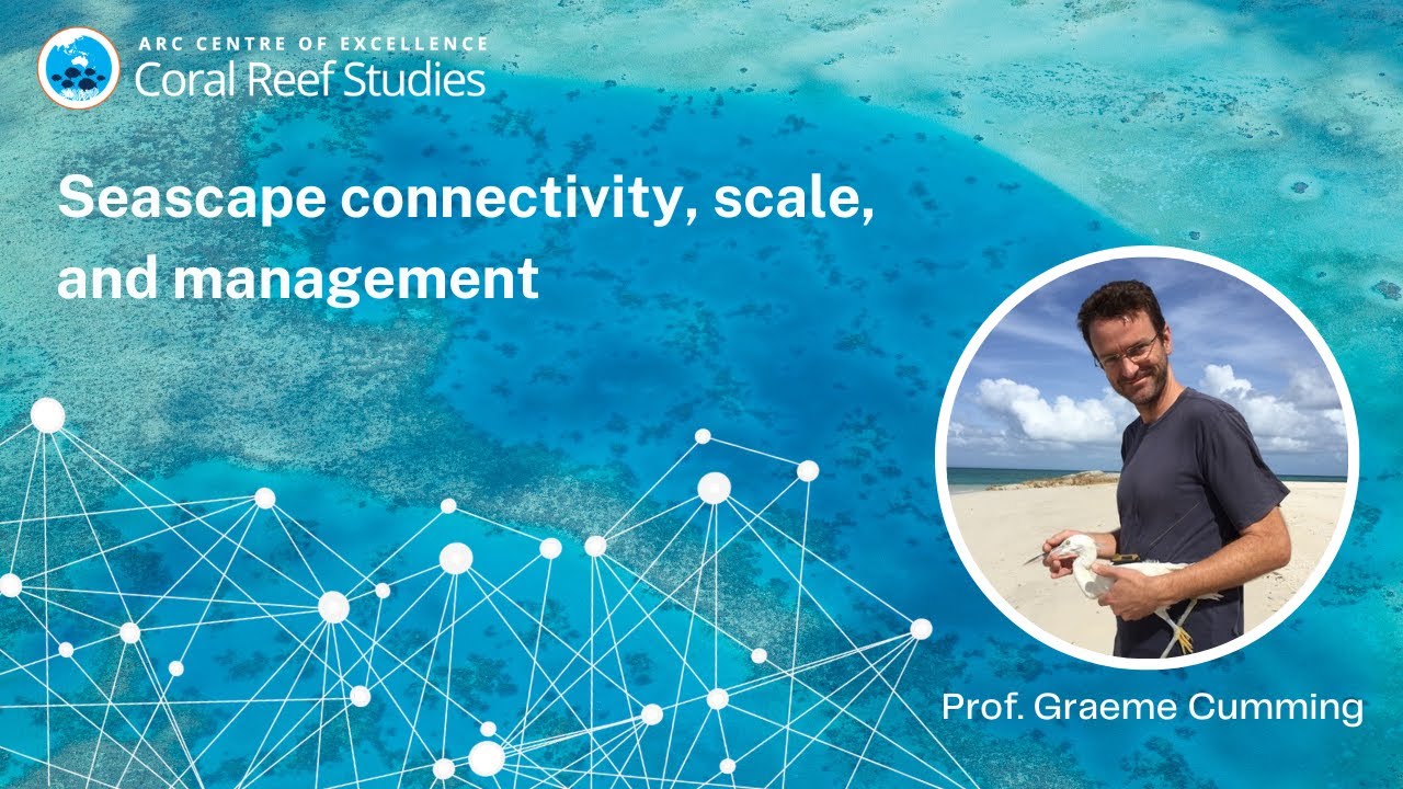 Seascape connectivity, scale, and management. A seminar by Prof. Graeme Cumming