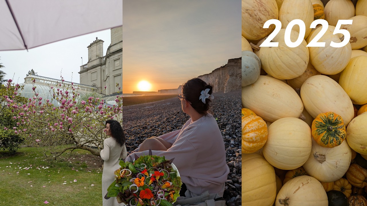 2025 | Un año en cuatro estaciones ❄️🌷🍓🎃