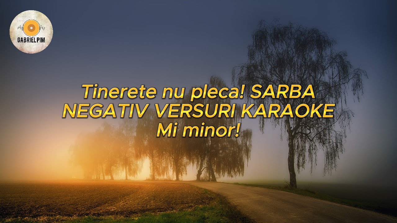 Tinerete nu pleca! SARBA NEGATIV VERSURI KARAOKE! Mi minor! (cover)