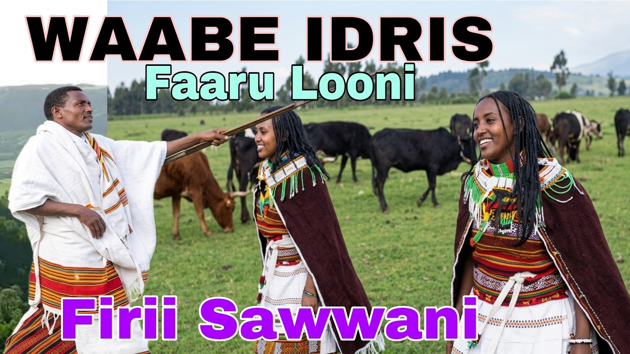 IDRIS WAABEE ||  Firi Saawaa || BEST Oromo,  Faaruu Loonii