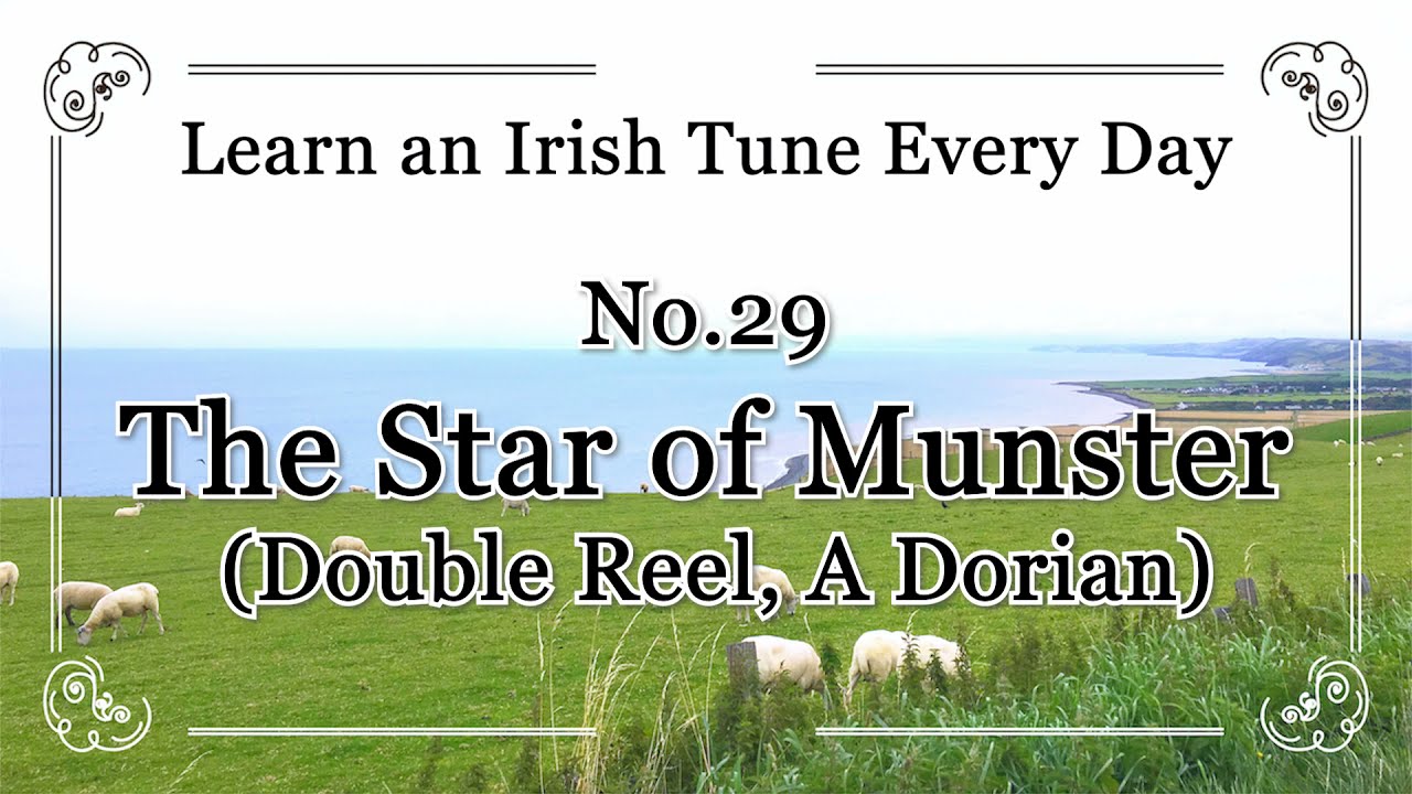 029 The Star of Munster (Double Reel, A Dorian) Learn an Irish Tune Every Day.