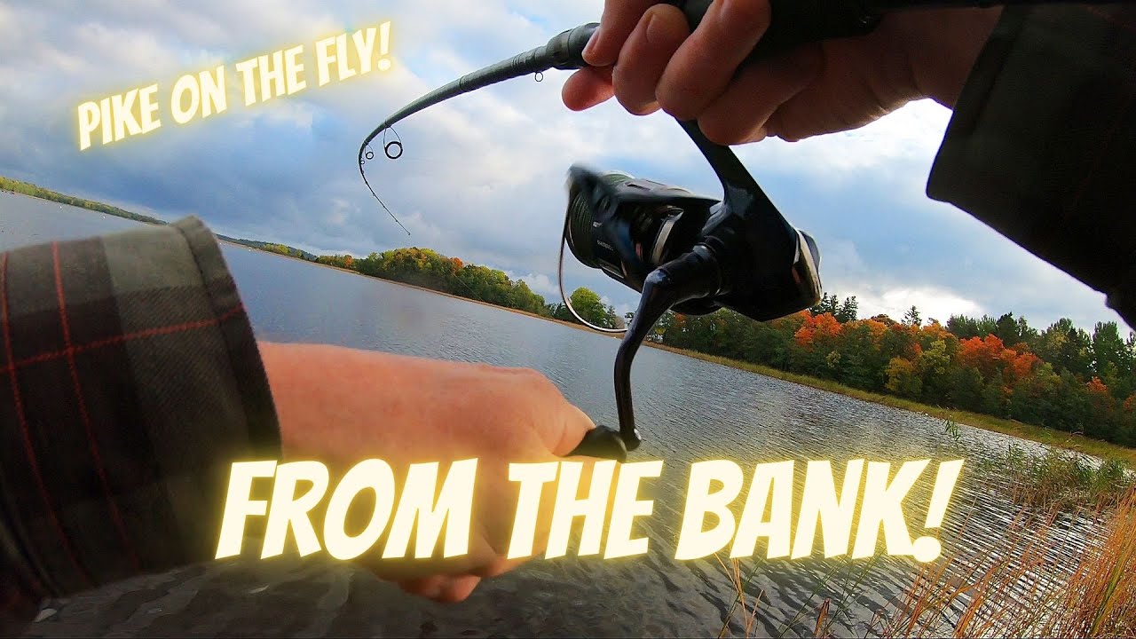 Fishing pike from the bank (Bombardafloat and fly) Subtitles
