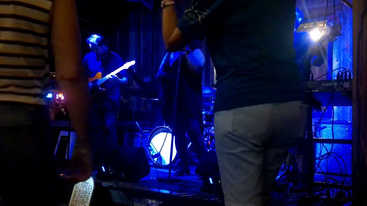 Tish & The Mizzbehavin Band, Down Home Blues