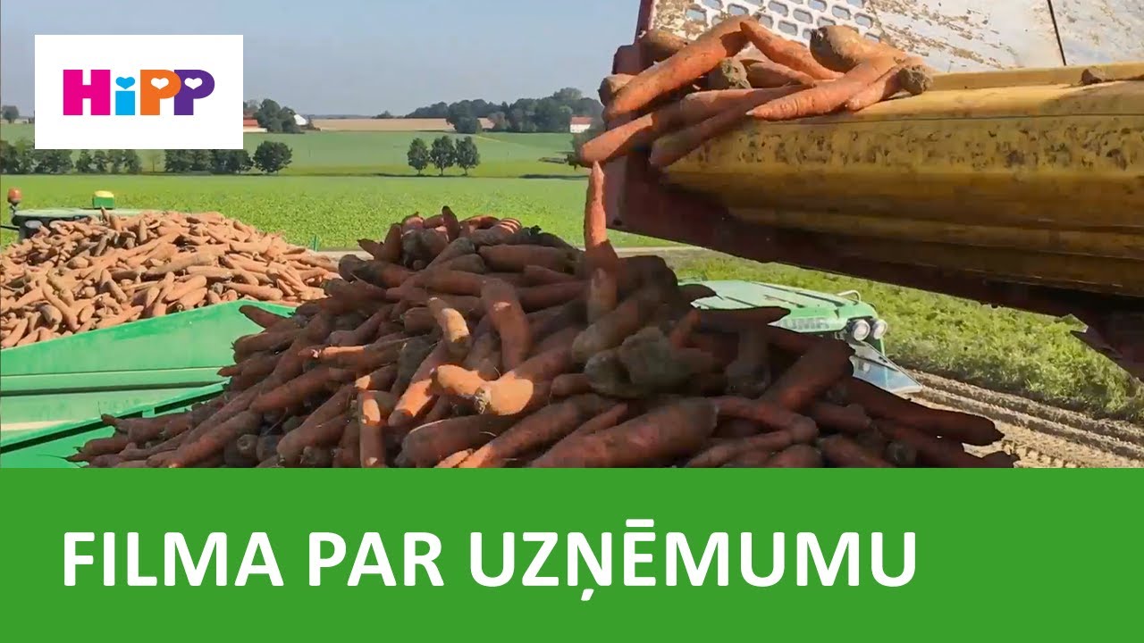 HiPP – bioloģisko burkānu audzēšana