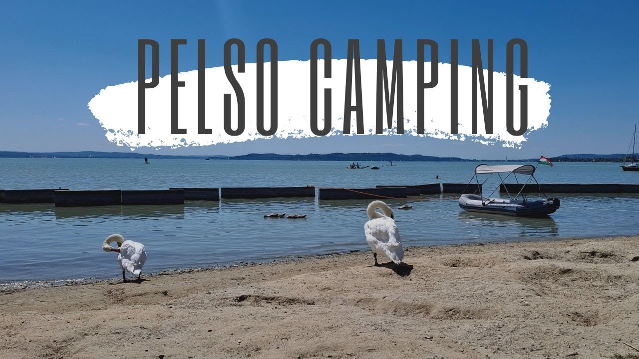 Zaniedbany potencjał z owadami w tle - odwiedzamy Kemping Pelso nad Balatonem #przyczepakempingowa
