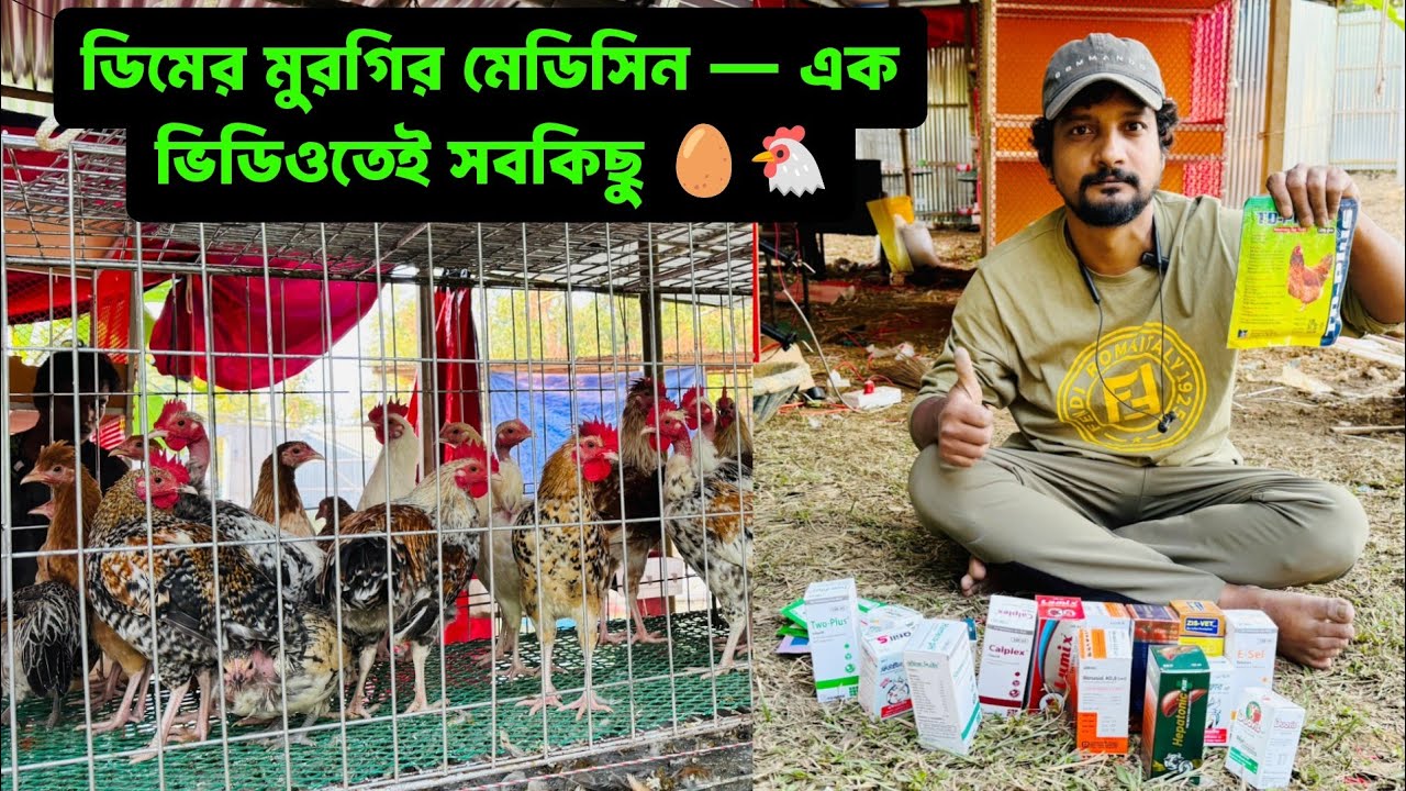 ডিমের মুরগির মেডিসিন — এক ভিডিওতেই সবকিছু 🥚🐔