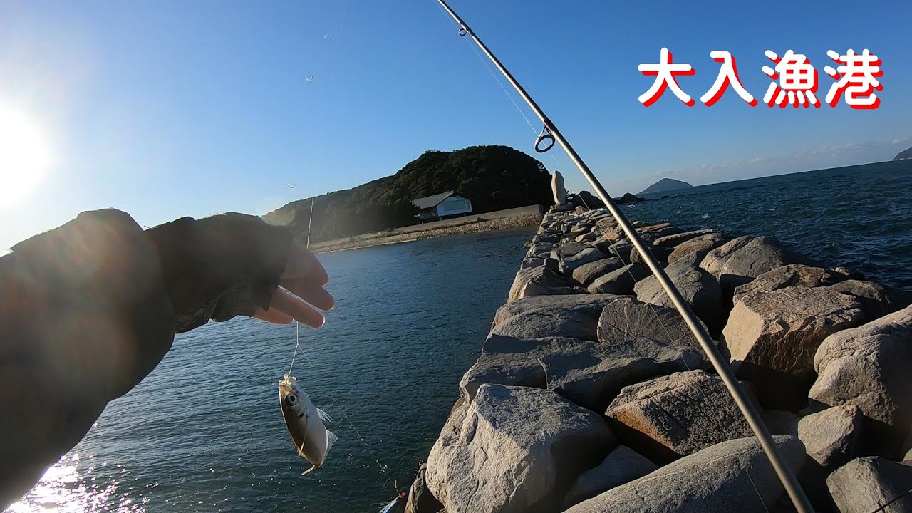 【大入漁港】ジグサビキでアジが釣れました
