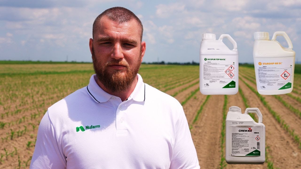 Trei erbicide de top în portofoliul Nufarm pentru cultura de porumb