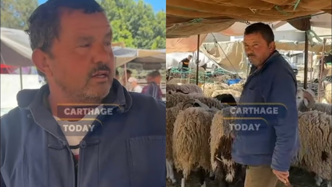 سيدي حسين : عندي علالش حتى ب 850 تصل الى 1350 دينار و نراعيو ضروف المواطن 🐑🥩🐏