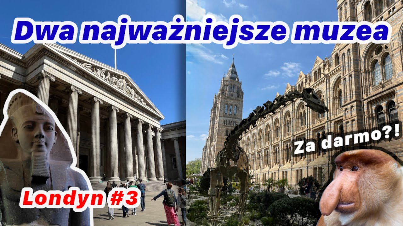 Muzeum 