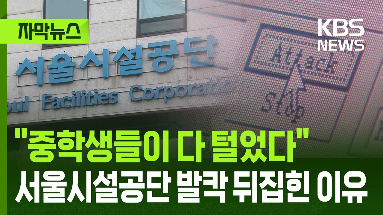 [자막뉴스] 