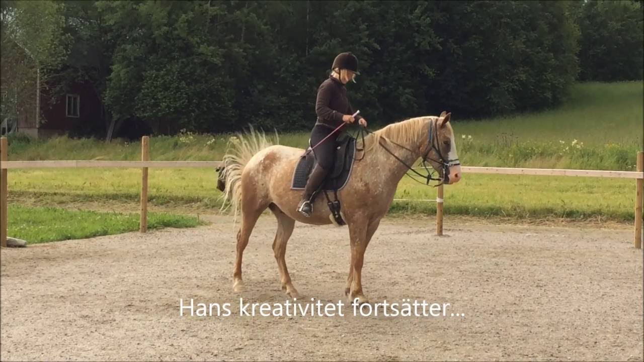 Pilgrim - med en räv bakom varje öra