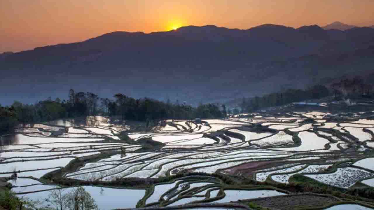 Chinese government issues guidelines for protection of natural resources
