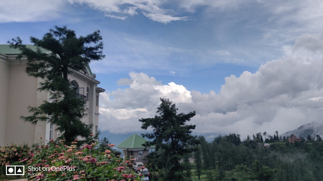 Chandigarh to Shimla | Naldehra | Club Mahindra Pristine Peaks on Tata Safari #shimla