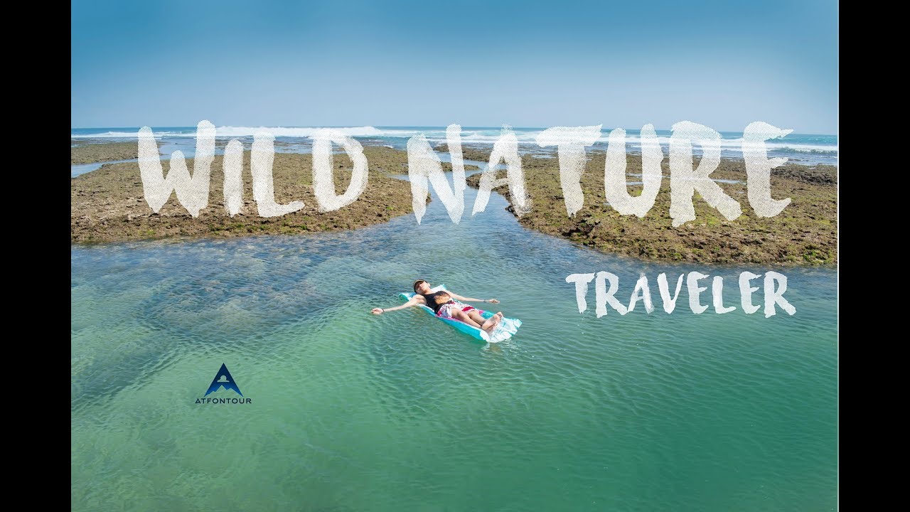 WILD NATURE TRAVELER