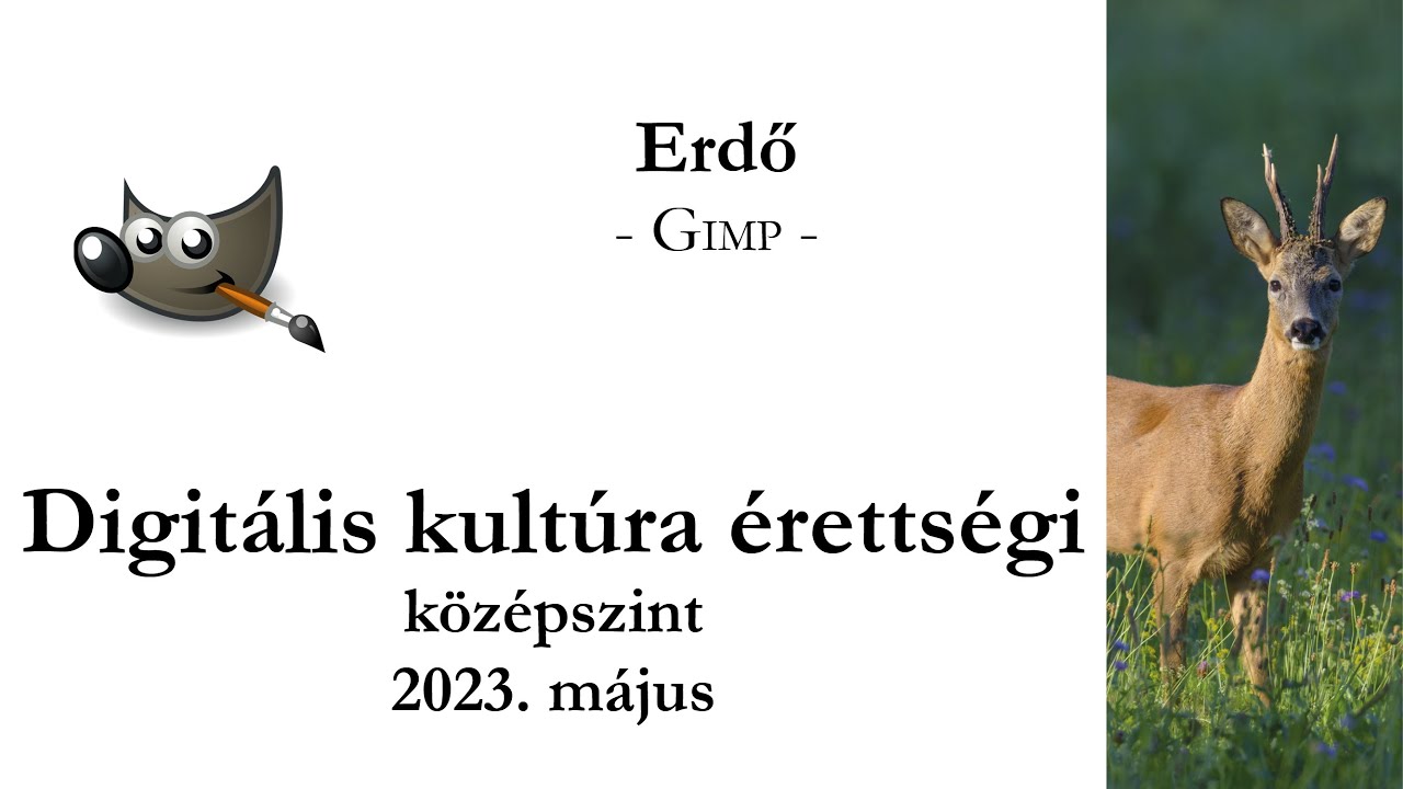 Erdő - 2023. május középszintű digitális kultúra érettségi: grafika