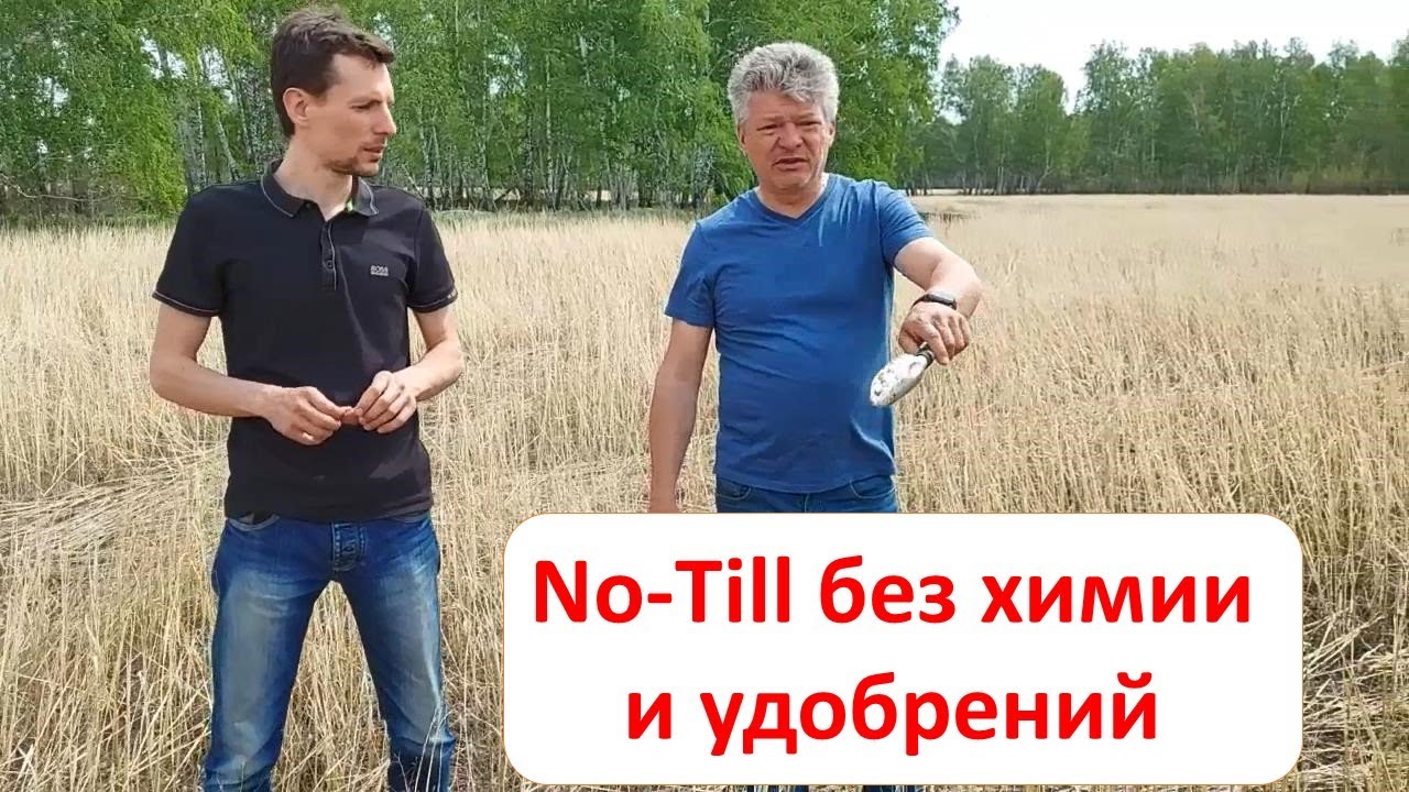 No-Till без гербицидов и удобрений, прибыльные сидераты и удивительные опыты в Сибири