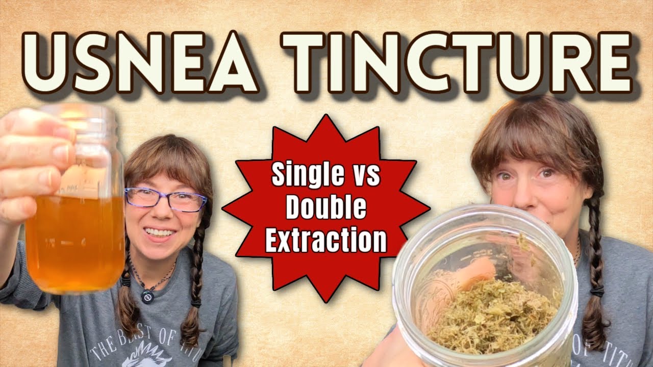 Usnea Tincture: Single vs Double (What Actually Works)