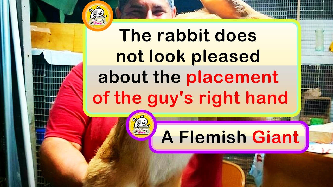 Huge Things You Didn’t Know Came in Giant Sizes