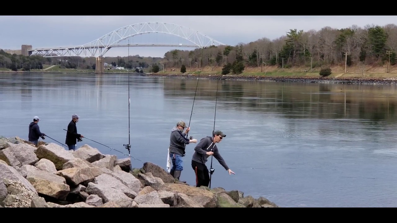 2020 Cape Cod Canal Herring Run